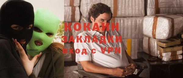 apvp Вяземский