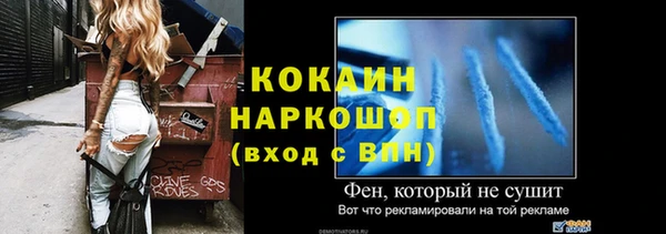 apvp Вяземский