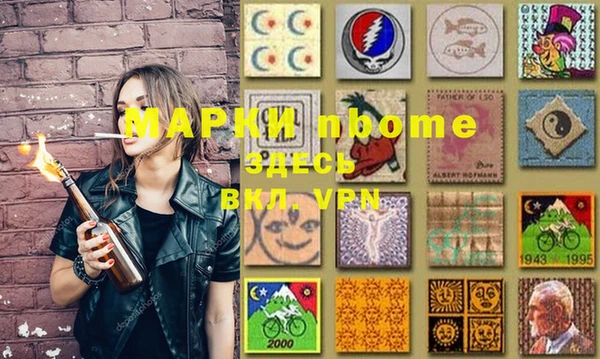 apvp Вяземский