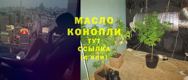 apvp Вяземский