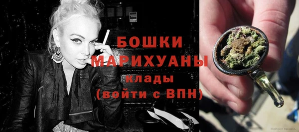 apvp Вяземский